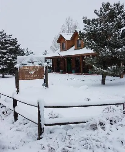 Holiday home Secluded Retreat Pines Peace Privacy *
